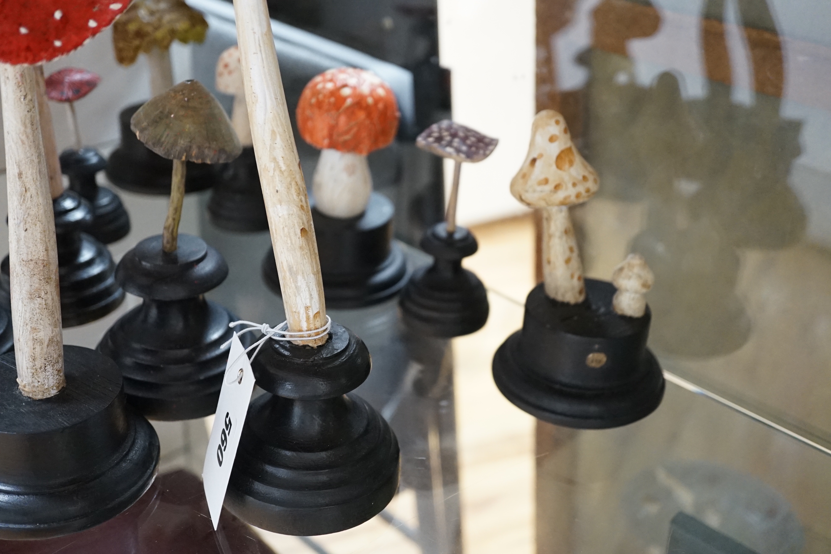 Twelve carved wood fungus specimen models, tallest 24cm